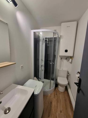 a bathroom with a shower and a toilet and a sink at Palma 2 in Port-la-Nouvelle
