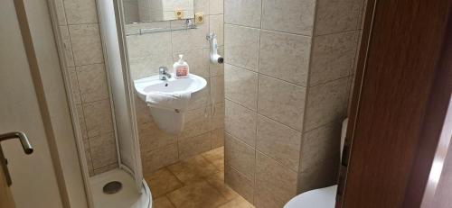 a bathroom with a sink and a toilet at Penzion Bernardýn in Bořetice