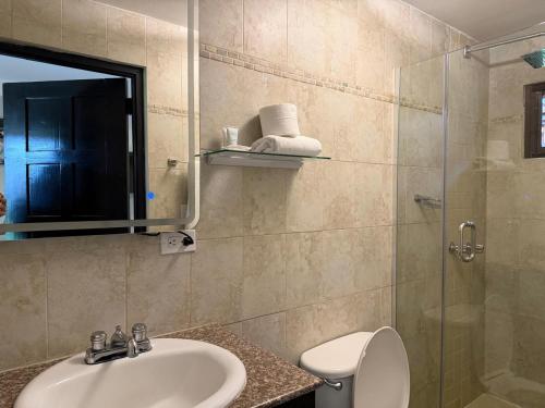 a bathroom with a sink and a toilet and a mirror at Hotel Gran David in Santiago