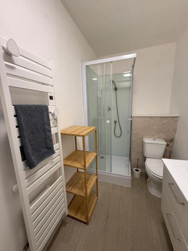 a bathroom with a shower and a toilet at Charmante petite maison - 2 chambres in Homécourt