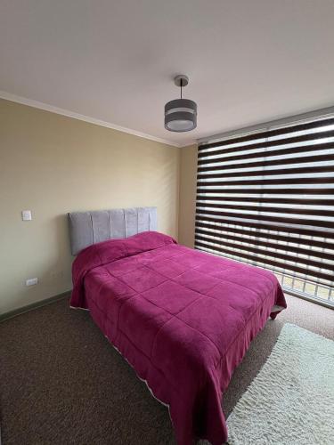 a bedroom with a large purple bed with a large window at Comodo departamento 2 dormitorios con piscina in Quilpué