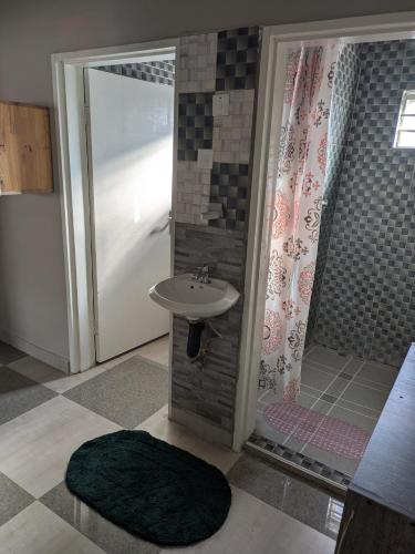 a bathroom with a sink and a shower at Maneya Apartments in Kabwe