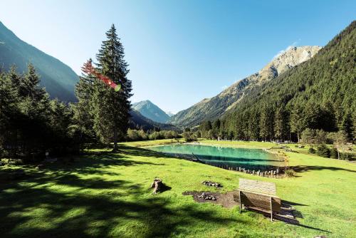 a bench in a field next to a lake at Milcherhof in Mieders