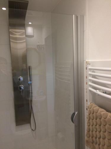a shower with a glass door in a bathroom at Ferienwohnungsvermietung Leitel in Brandenburg an der Havel