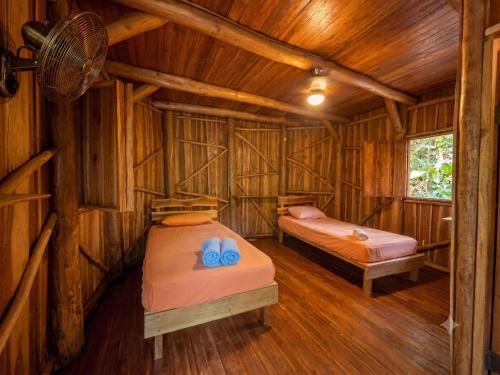two beds in a room with wooden walls at Don Jon's Surf and Yoga Lodge in Santa Teresa Beach