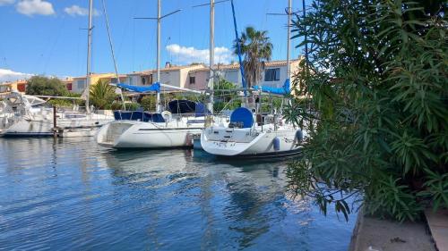 Petite marina, terrasse, véranda, pied dans l'eau