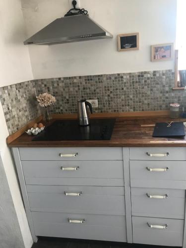 a kitchen with a sink and a counter top at Pavilion de LaFue in Lavergne
