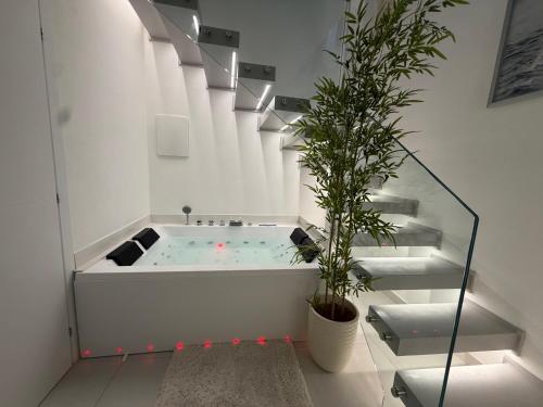 a bath tub with a potted plant and stairs at Acqua e Sale in Gallipoli