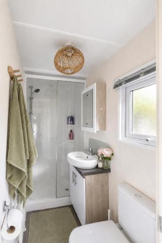a bathroom with a toilet sink and a shower at Sfeervol boshuisje op de Veluwe Vossenberg in Nunspeet