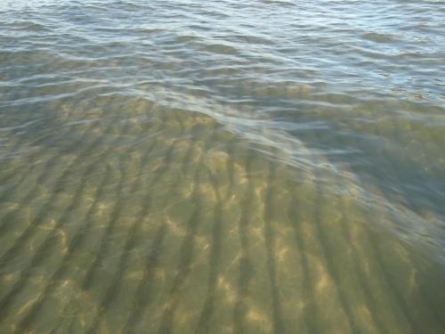 a group of ripples in the water at Domek Z Bali Góral in Kopalino