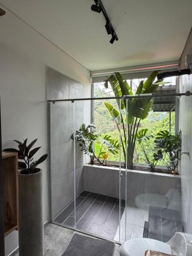 a bathroom with a glass shower with plants in it at Animadbali1 in Ibagué