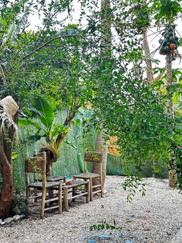 a garden with two chairs and a bench and trees at Garden view double room in Agadir