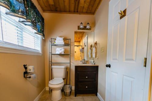 a bathroom with a toilet and a sink at Heavenly View - Bear Themed Cabin, HotTub, Dog-Friendly, Near Gatlinburg in Gatlinburg