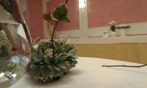 zielona roślina siedząca na stole w obiekcie Grand Hotel degli Angeli w mieście San Giovanni Rotondo