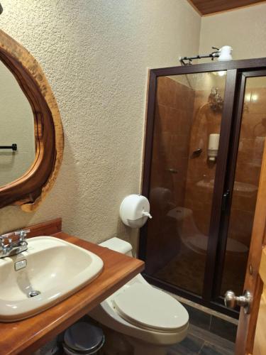 a bathroom with a toilet and a sink and a shower at Finca La Concepción in Marcala