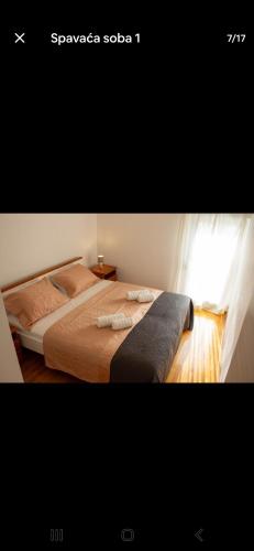 Apartment Bracka