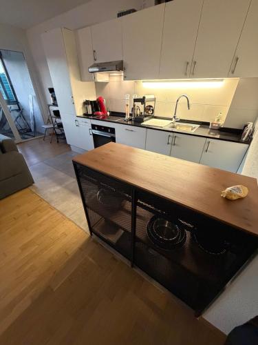 Spacious apartment on Geneva's doorstep