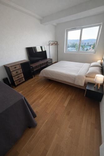 Spacious apartment on Geneva's doorstep