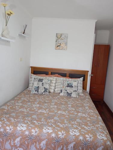 a bedroom with a bed with a bedspread and pillows at Puente alto alojamiento in Santiago