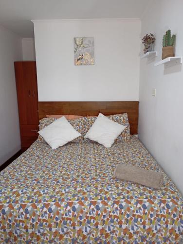 a bedroom with a bed with two pillows at Puente alto alojamiento in Santiago