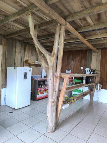a tree in the middle of a kitchen with a refrigerator at Cabaña Cherenga in Sarchí