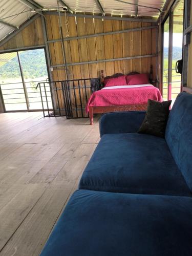 a living room with a couch and a bed at Cabaña Cherenga in Sarchí
