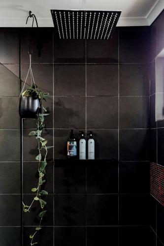 a black tiled bathroom with three bottles on a shelf at The Artemis Cottage in Fitzroy