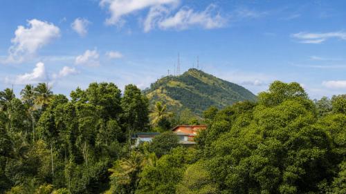 a house in the forest with a mountain in the background at Hasthi Boutique in Kandy