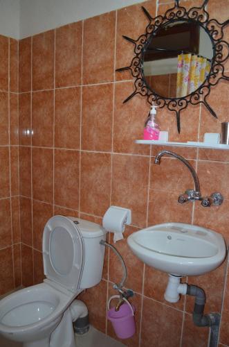 a bathroom with a toilet and a sink and a mirror at Hôtel Restaurant La Gazelle De Dades in Akhendachou nʼAït Ouffi