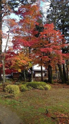 GUESTHOUSE MAAGO Exclusive to one group per day