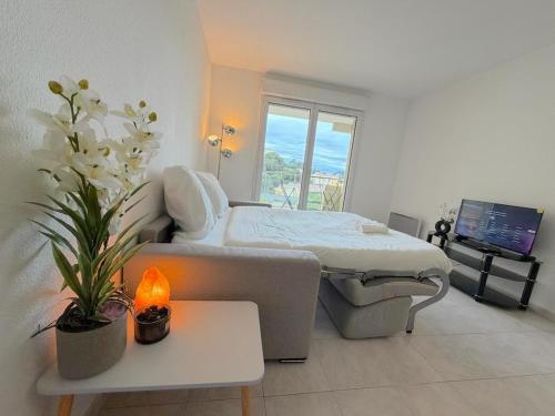 Charming cozy studio with sunny balcony