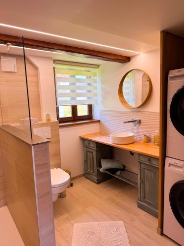 a bathroom with a toilet and a sink and a mirror at Cottage des potiers in Niederbetschdorf