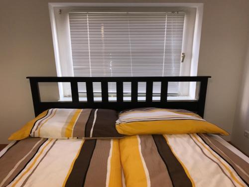 a bed with a black headboard and a window at Apartment Am Ring in Bochum