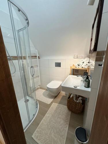 a bathroom with a shower and a toilet and a sink at Apartmán - Ostrůvek 203 in Lesná