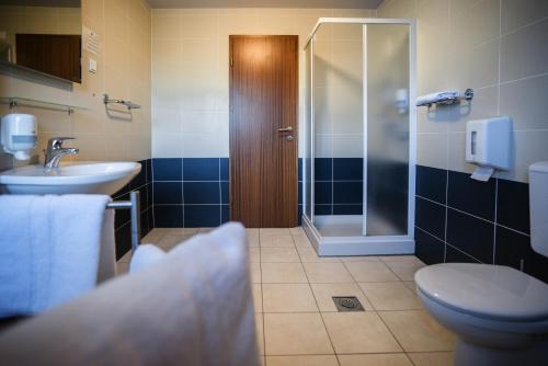 La salle de bains est pourvue de toilettes, d'un lavabo et d'une douche. dans l'établissement Hotel Pokljuka, à Goreljek