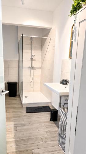 a bathroom with a shower and a sink at Gera Apartment Green in Gera