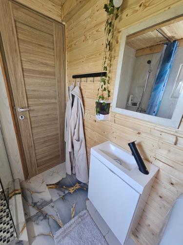a bathroom with a white sink and a mirror at Elioan Cozy A-Frame in Mărăcineni