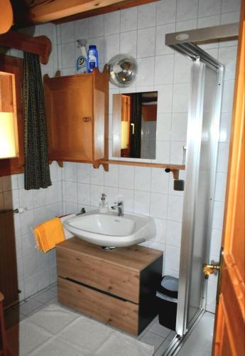 a bathroom with a sink and a mirror at Urlaub im Blockhaus in Diex