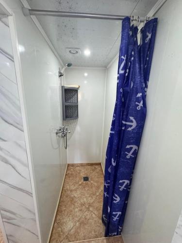 a shower with a blue curtain in a bathroom at Rapan Guesthouse in Bŭlgarevo