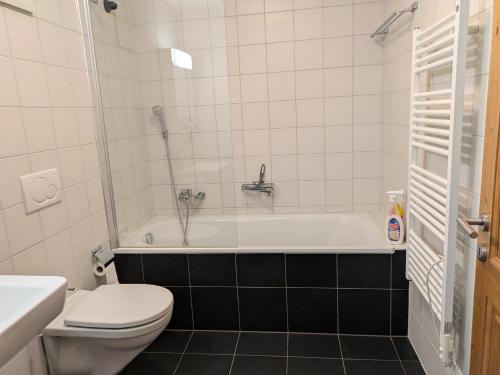 a bathroom with a tub and a toilet and a sink at Pointe de l'Au in Val-d'Illiez