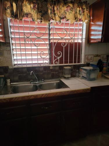 a kitchen with a sink and a window at Ruby's Place in Boscobel