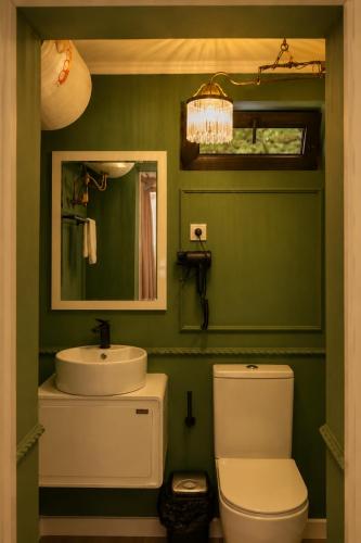 a green bathroom with a sink and a toilet at Winery & Brewery - Family Guesthouse "Villa Rbona" in Khashuri