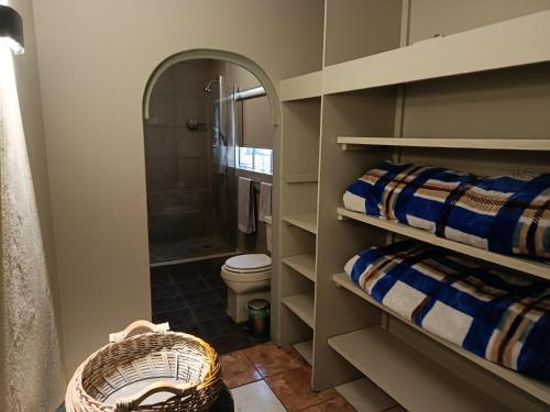a bathroom with a toilet and a walk in shower at SMAPERS GUESTHOUSE in Brits