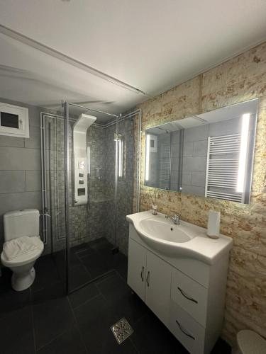a bathroom with a sink and a toilet and a shower at CABANA MARIA-PETRIMANU in Ciungetu