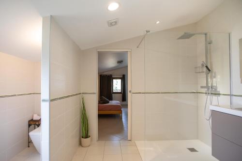 a bathroom with a walk in shower and a toilet at Le Refuge aux Portes du Vercors in Jaillans