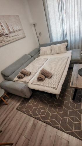 Apartman Zeko
