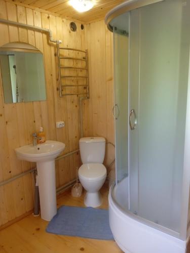 a bathroom with a toilet and a sink and a shower at Вершина спокою in Mykulychyn