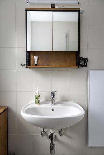 a white sink in a bathroom with a mirror at Apartment Camping Melk in Melk