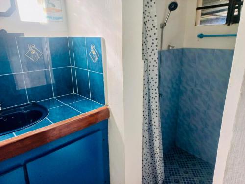 a blue bathroom with a sink and a shower at Gîte Le Tropical in Rodrigues Island