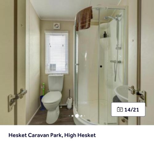 a bathroom with a toilet and a shower at 36 Ravens Nest large 3 bedroom lodge with views No sign written vans allowed on site in High Hesket